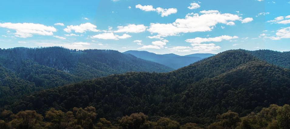 A view of the dandenongs