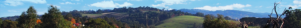 A view of the dandenongs